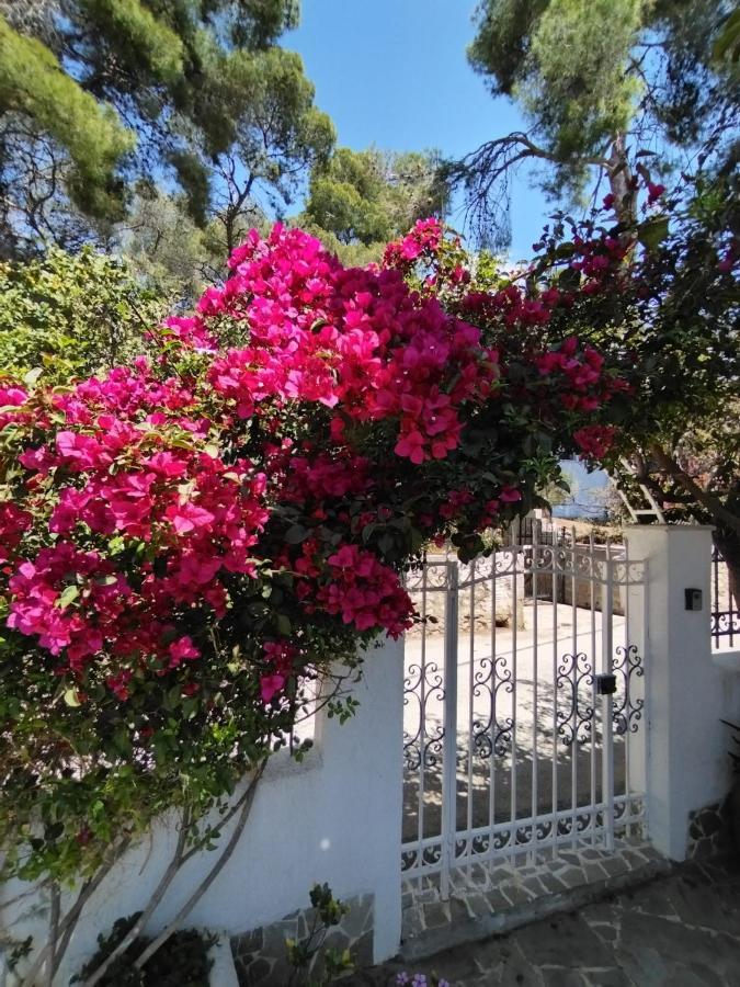 Rigos House At Askeli Beach, Poros Island Poros Town Dış mekan fotoğraf